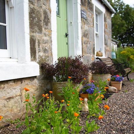 Balmungo Cottage B&B St Andrews Zewnętrze zdjęcie