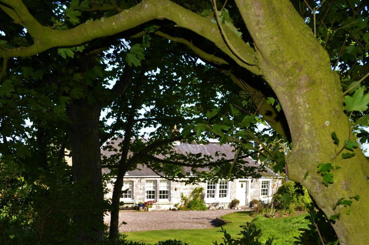 Balmungo Cottage B&B St Andrews Zewnętrze zdjęcie