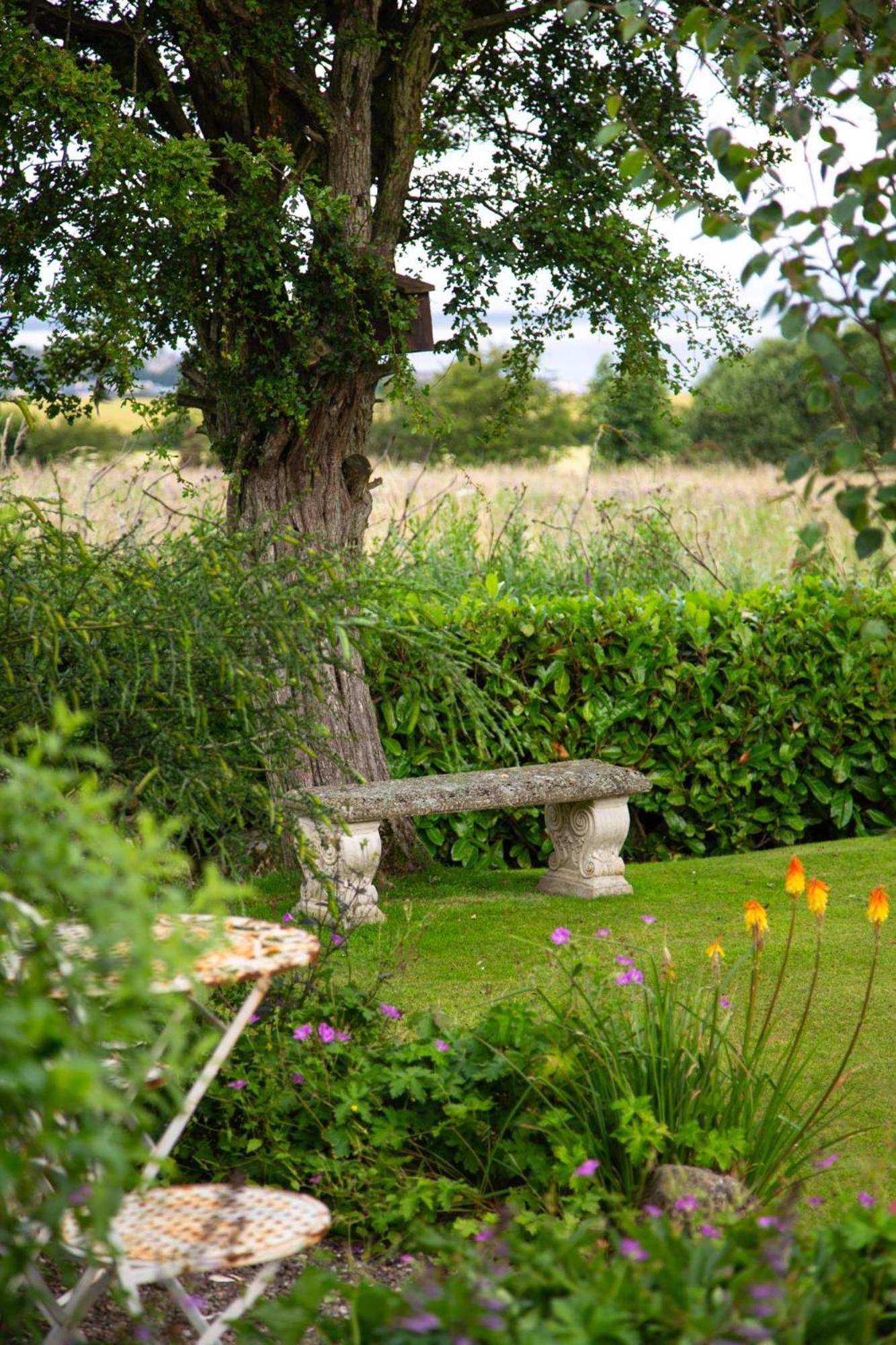 Balmungo Cottage B&B St Andrews Zewnętrze zdjęcie