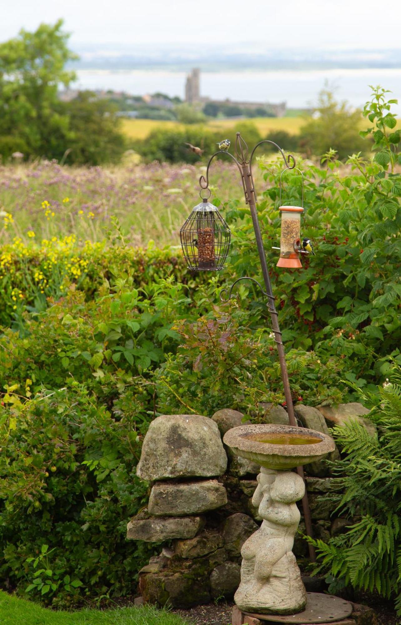 Balmungo Cottage B&B St Andrews Zewnętrze zdjęcie