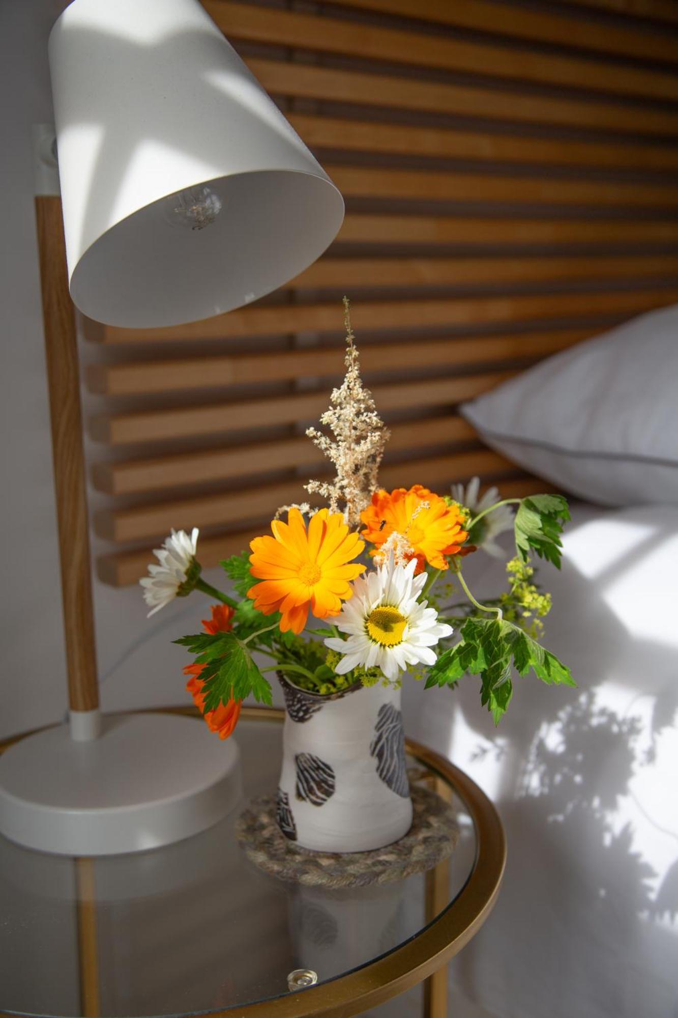 Balmungo Cottage B&B St Andrews Zewnętrze zdjęcie