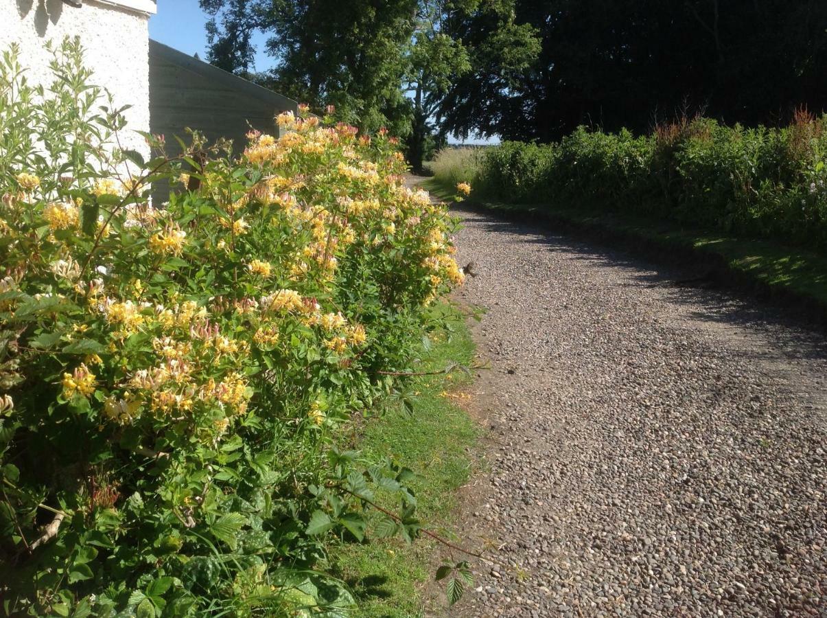 Balmungo Cottage B&B St Andrews Zewnętrze zdjęcie